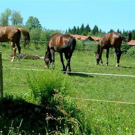 Herzigs Mitterdorf *
