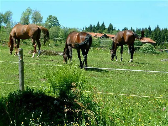 Herzigs Mitterdorf *