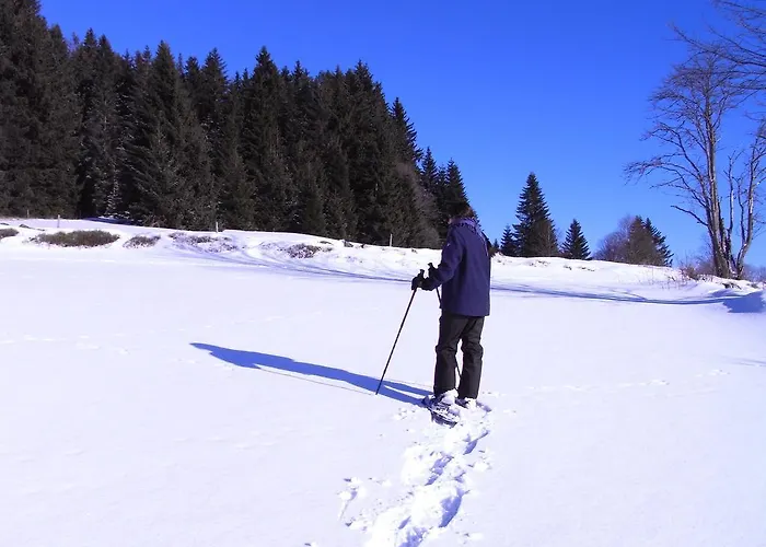 Herzigs Mitterdorf * Mitterfirmiansreut