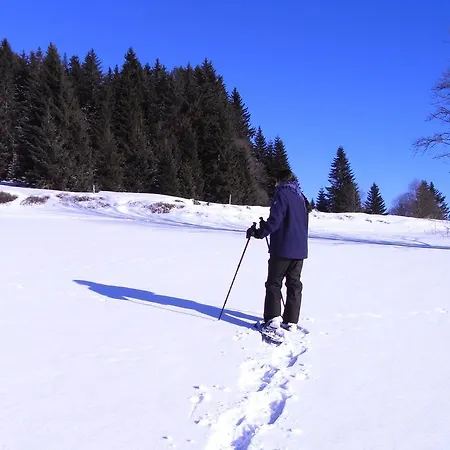 Herzigs Mitterdorf * Mitterfirmiansreut