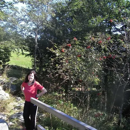 Apartamento Herzigs Mitterdorf *